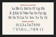 Svara Modern Editorial Serif Font, a Serif Font by Rasio Studio (Thumbnail 2 of 11)