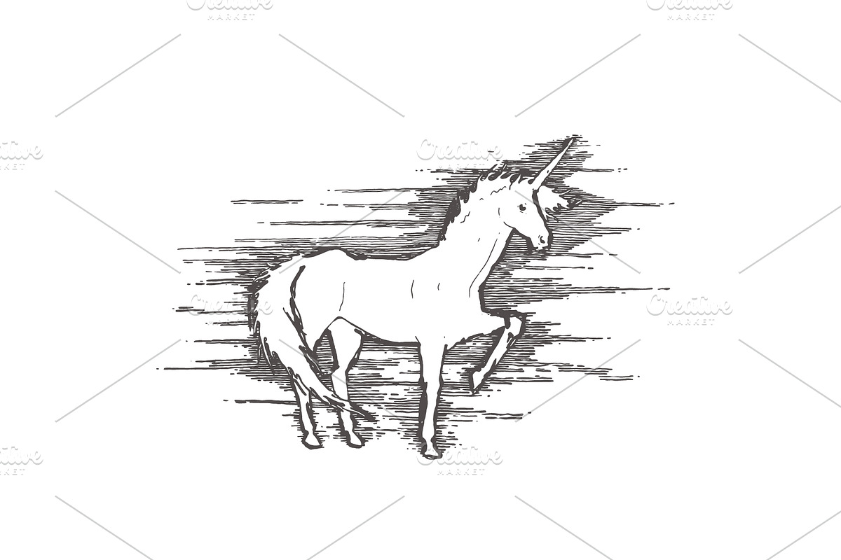 Illustrations of unicorns, an Animal Illustration by TheMountBirdStudio (Photo 4 of 5)