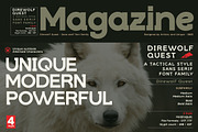 Direwolf Quest - Sans serif font, a Sans Serif Font by Artistic & Unique (Thumbnail 12 of 15)