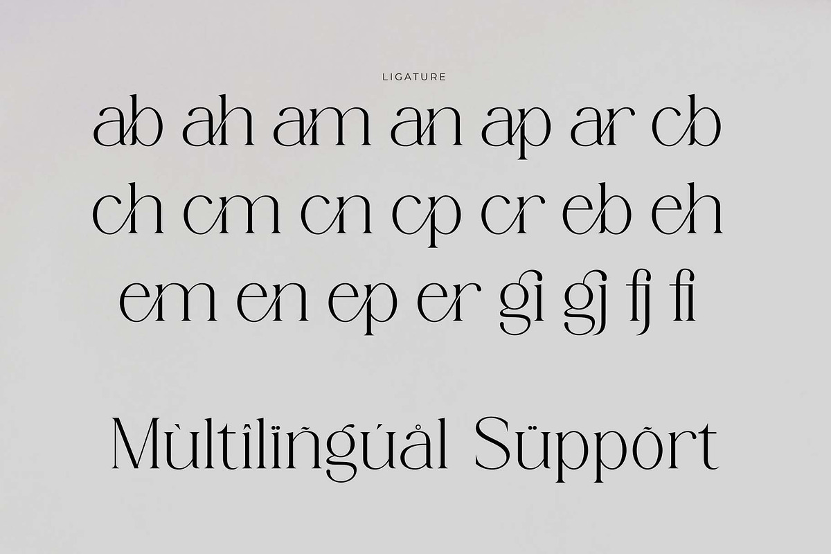 Rergian - A New Moderen Serif Font, a Serif Font by GridlineType (Photo 10 of 10)