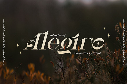 Alegiro Serif Font, a Serif Font by Lollipop Hand Drawn