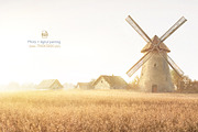Autumn rural landscape, a Food Illustration by Countryside life (Thumbnail 6 of 9)