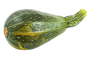 Green zucchini isolated on white background, a Food & Drink Photo by AlyaAnd