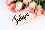 Monkista | Script Font, a Handwritten Font by Scratchones (Thumbnail 4 of 9)