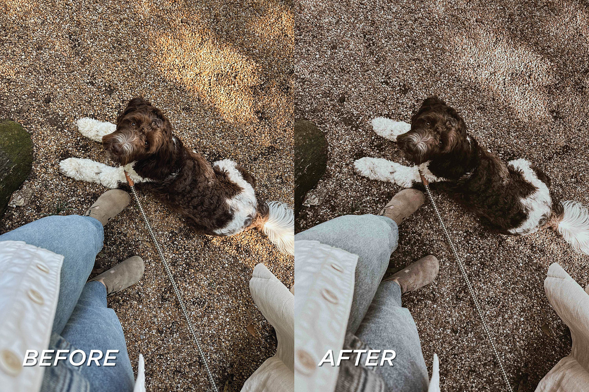 15 Moody Fall Lightroom Presets, a Preset Add-On by TheWayfarerShoppe (Photo 6 of 9)