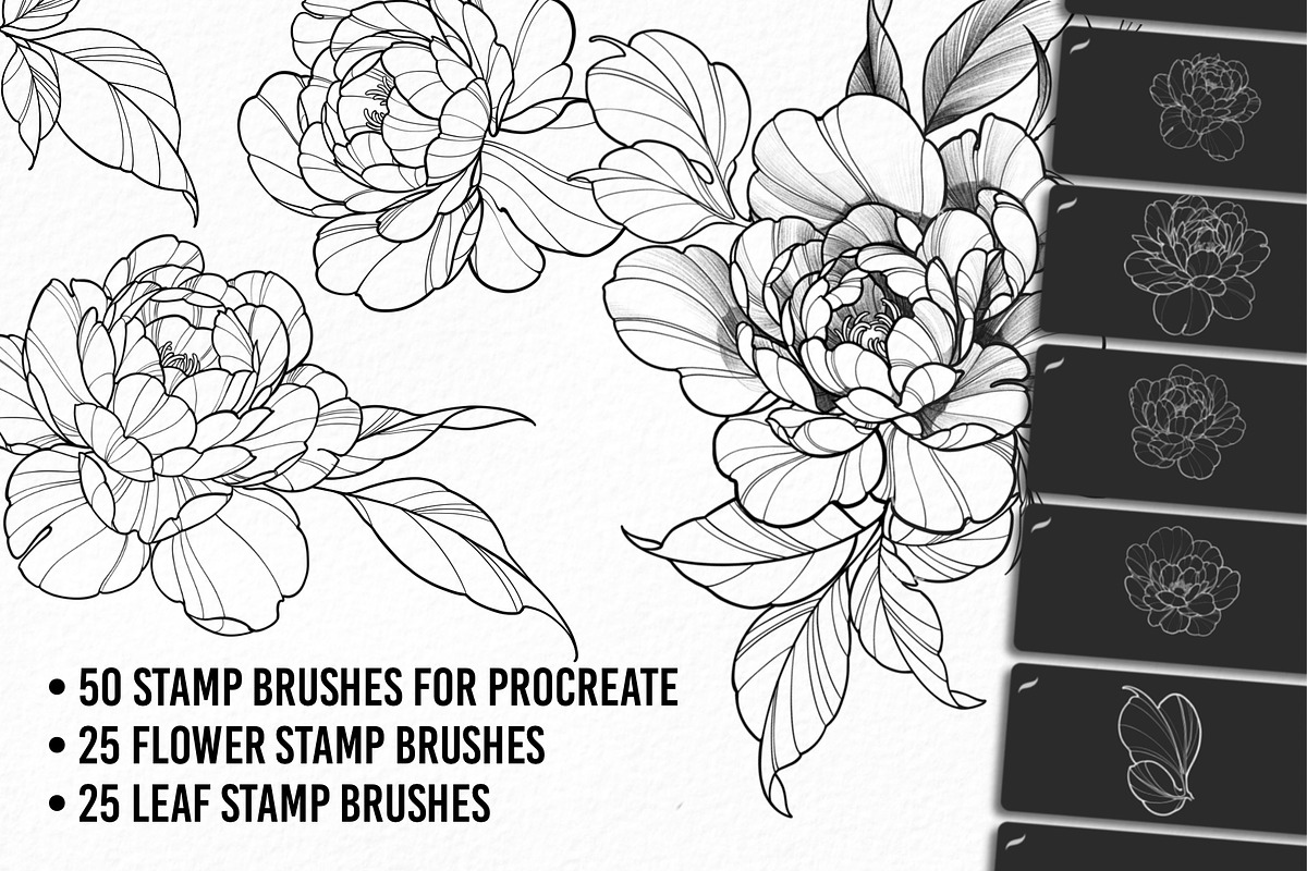 Peony Lines, Procreate Stamp Brushes, a Brush Add-On by InkRef (Photo 2 of 4)