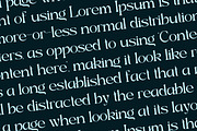 Bahgian Serif Fonts, a Serif Font by mahstudios (Thumbnail 9 of 14)
