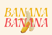 Bernat Burnoe, a Serif Font by Muksal Creative (Thumbnail 5 of 9)