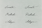 Midnight Symphony // Script font, a Handwritten Font by PeachCreme (Thumbnail 12 of 15)