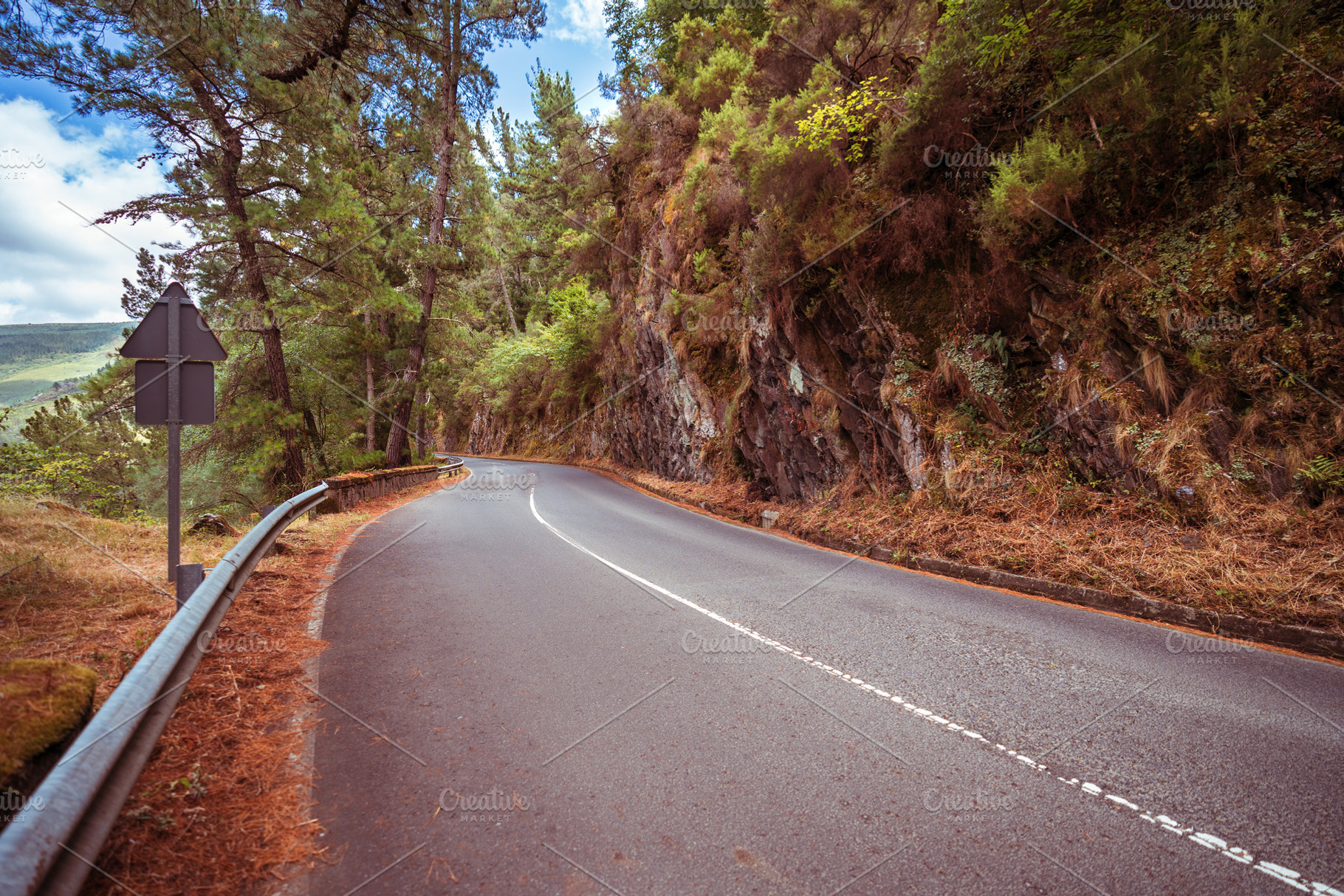 Curving mountain forest road, a Transportation Photo by SkyNext