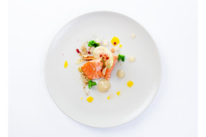 Molecular modern cuisine red fish containing molecular, fish, and isolated