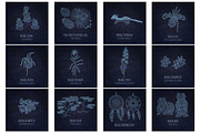 Sacred Baikal Set, an Illustration by Marya Deneko (Thumbnail 3 of 5)