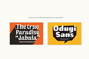 Saltza – A Decorative Handcrafted, a Handwritten Font by Four Lines Std. (Thumbnail 11 of 11)
