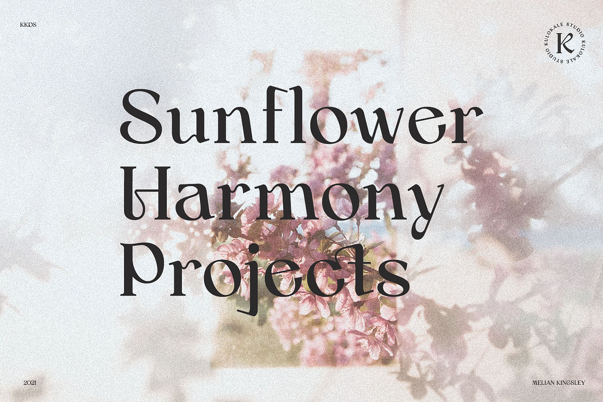 Melian Kingsley - Modern Serif, a Serif Font by Kulokale (Photo 8 of 12)