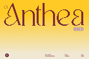 CS Anthea Disco, a Serif Font by Craft Supply Co. (Thumbnail 1 of 8)