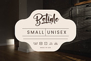 Chinstrap Stucky Bold Brush Font, a Script Font by stylishtype.co (Thumbnail 4 of 20)
