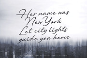 Alander Signature Font, a Script Font by Letteralle Studios (Thumbnail 5 of 7)