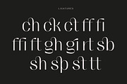 Migura Sans Font Family, a Sans Serif Font by Andrey Sharonov (Thumbnail 11 of 23)