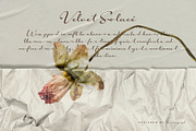 Shopie Script – Natural Handwritten, a Script Font by Krismagraph (Thumbnail 2 of 10)