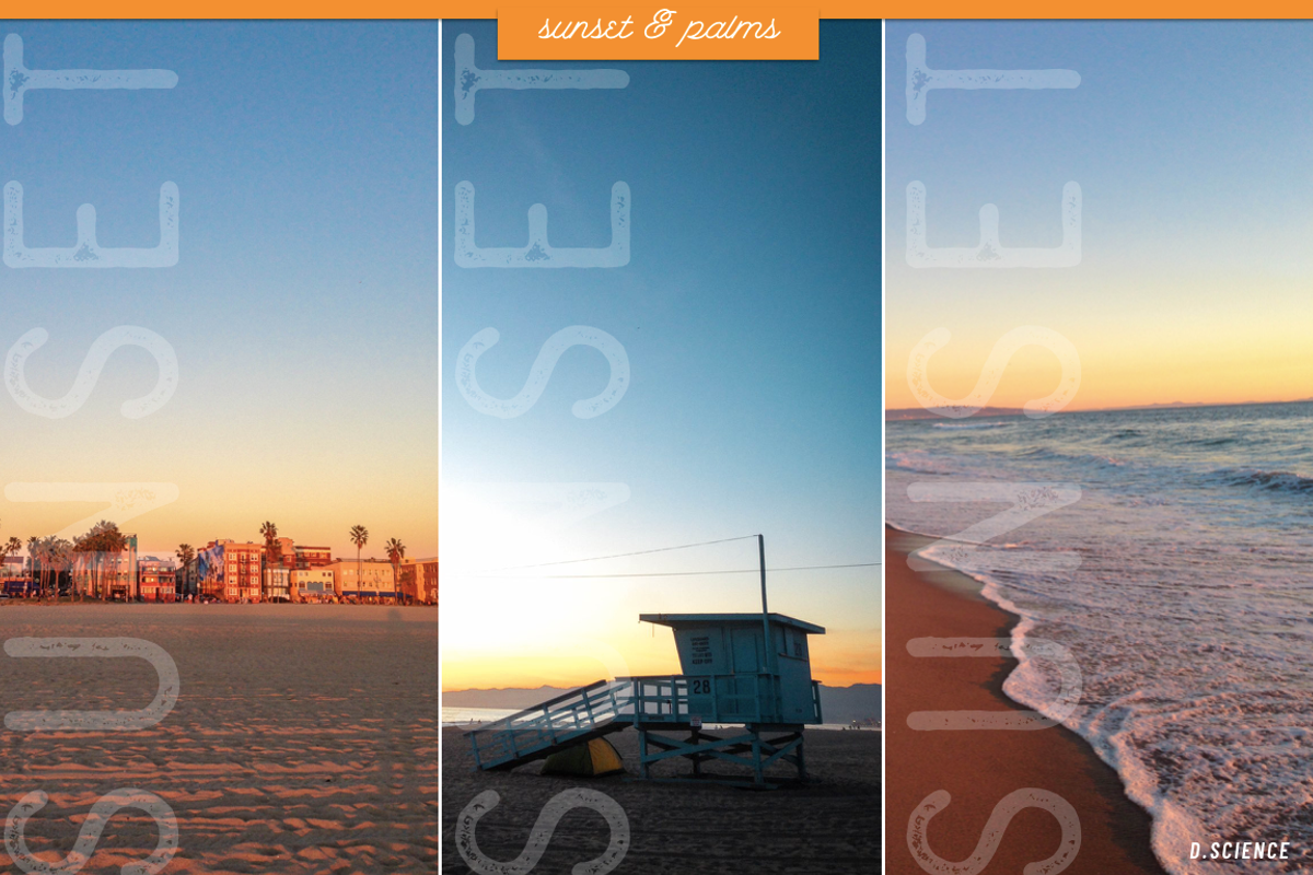 Sunset & Palm Trees Photo Bundle, a Nature Photo by Template Monkey @dscience (Photo 10 of 12)