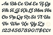 Arlington League -Sport Font Duo, a Script Font by Fenotype (Thumbnail 11 of 15)