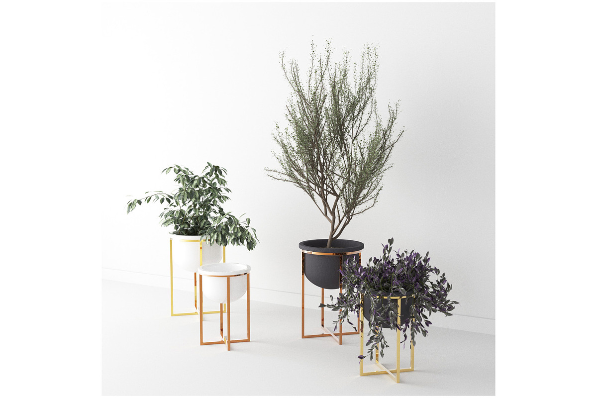 Interior Plants Trio, a Furniture 3D Model by 3DCargo (Photo 3 of 9)