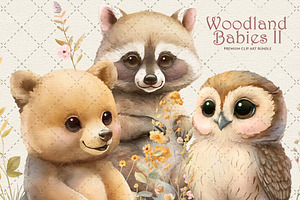 Woodland Animals II