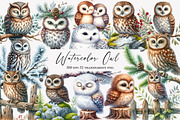 Watercolor Owl Clipart, an Illustration by Designworld (Thumbnail 1 of 5)