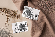 Aster Line Art SVG, an Object Graphic by Dervik Art Store (Thumbnail 5 of 7)