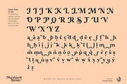 Marshland Beauty, a Font by Aluyeah Studio (Thumbnail 14 of 15)