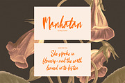 Shenapan Script, a Handwritten Font by Madjack.font (Thumbnail 7 of 10)
