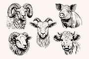 Farm Animals Collection 34 arts, a Graphic by IPVector (Thumbnail 5 of 7)