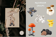 Mushrooms Watercolor Clipart, a Food Illustration by AnitaPol (Thumbnail 12 of 24)