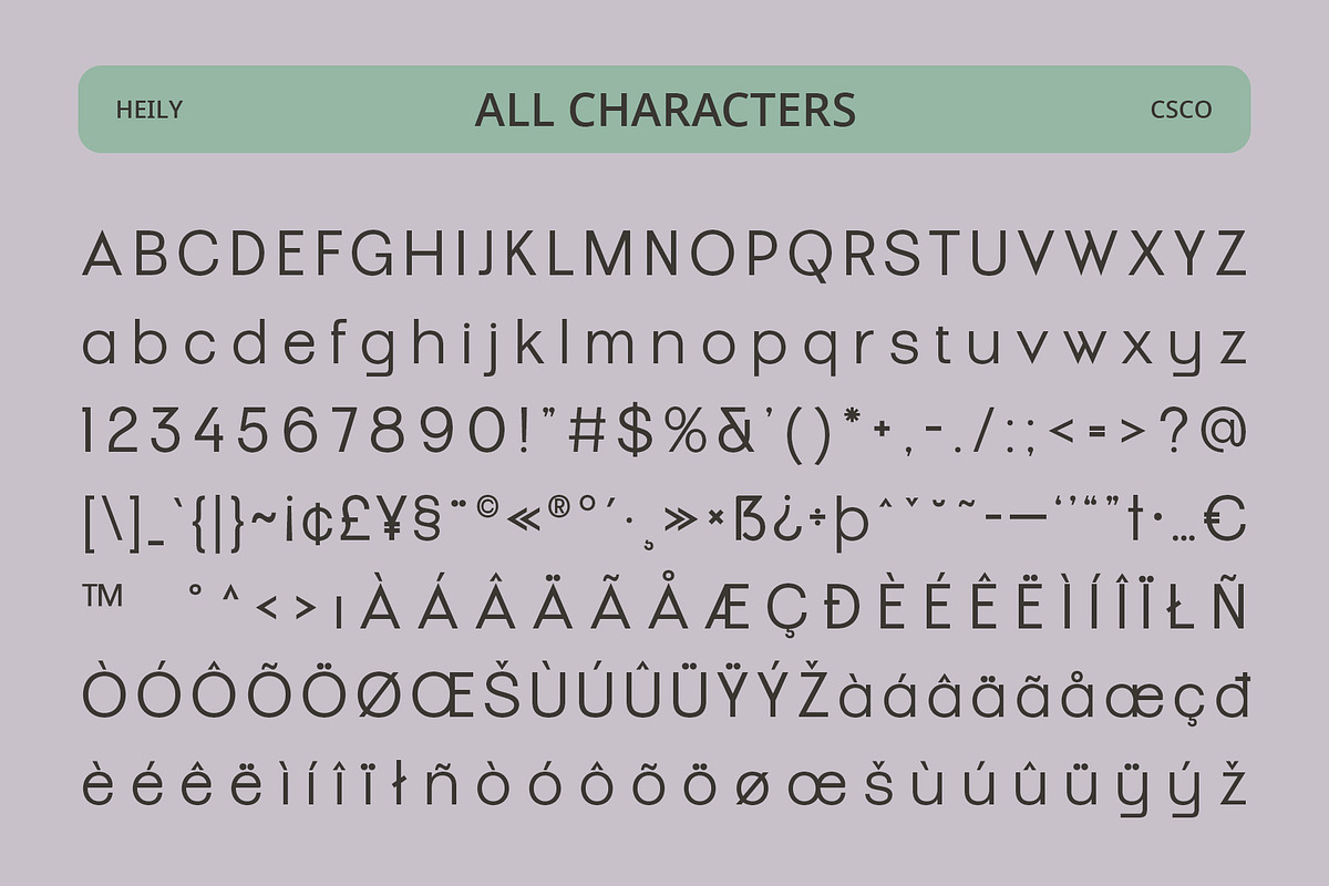 Heily – Grotesque Sans Serif, a Sans Serif Font by Craft Supply Co. (Photo 8 of 8)