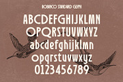 Robinco - Ligature Art Deco Font, a Sans Serif Font by Asenbayu (Thumbnail 9 of 15)