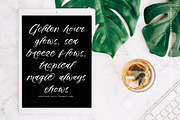 Mindful Angelic Modern Elegant Font, a Script Font by stylishtype.co (Thumbnail 6 of 19)