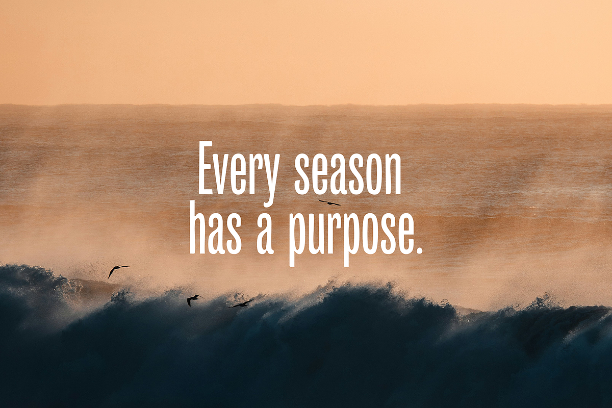 Citrus Tall Font, a Handwritten Font by gafaroff studio (Photo 3 of 5)