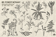 Forest Botany Line Art + Procreate, a Brush Add-On by Skliarova (Thumbnail 5 of 6)