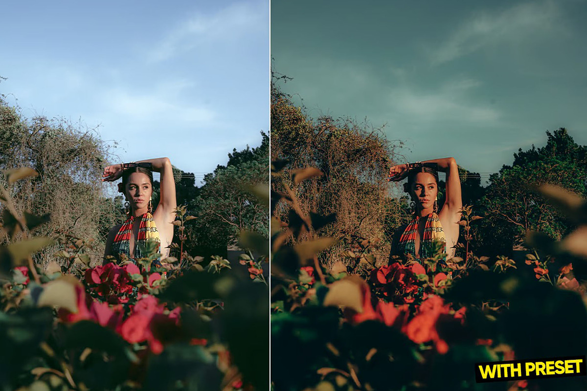 Warm Light Presets for Lightroom, a Preset Add-On by Hubzway (Photo 2 of 5)