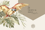 BIRD GARDEN Tropical collection, an Animal Illustration by Anastezia Luneva (Thumbnail 2 of 13)