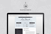 Resume Template, a Resume Template by ResumeInventor (Thumbnail 5 of 6)