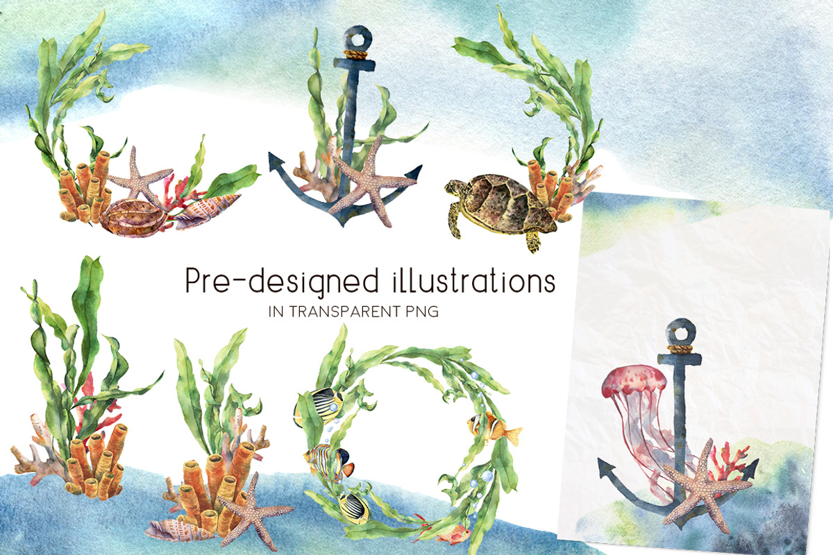 Underwater ocean watercolor clipart, an Animal Illustration by Yuliya Derbisheva (Photo 6 of 10)