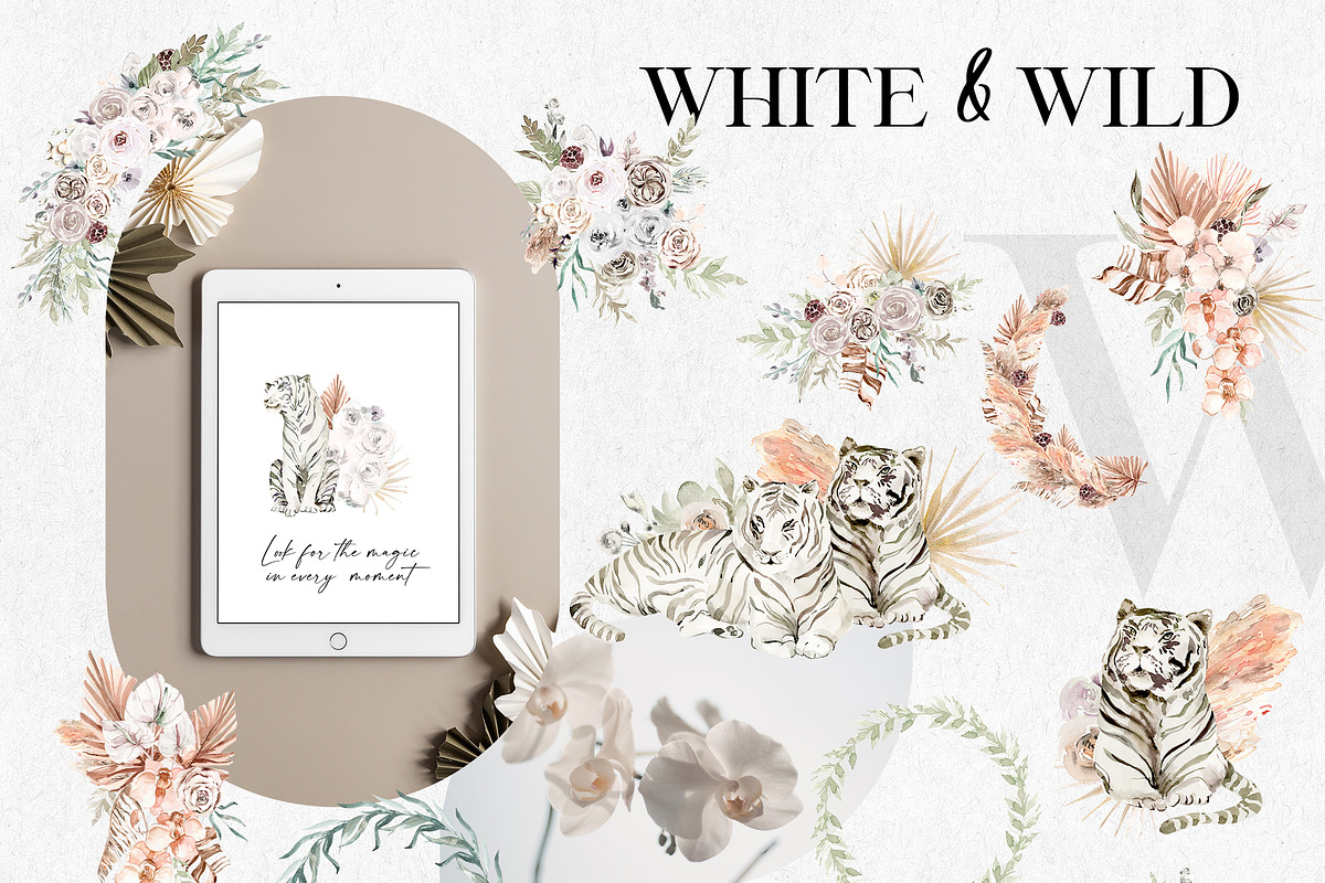 Wild Tigers - Boho Jungle set, an Animal Illustration by Olga Koelsch (Photo 9 of 14)