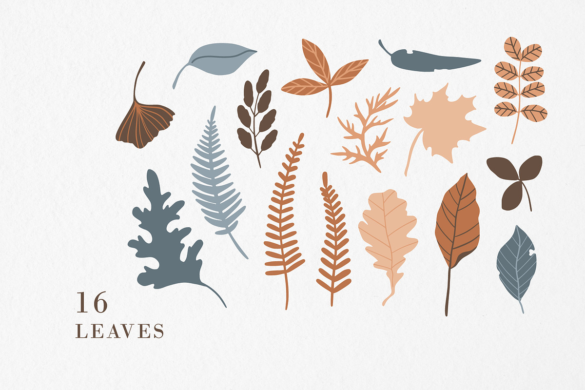 FOREST TREASURES big vector bundle, a Decorative Illustration by Lena Nikolaeva (Photo 3 of 16)