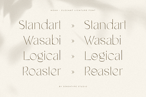 Noah - Elegant Ligature Font