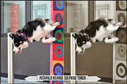 Darkroom Toners - Sepia Profiles, a Plug-in Add-On by Raztrend (Thumbnail 22 of 30)