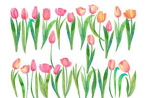 Watercolor Tulips Set