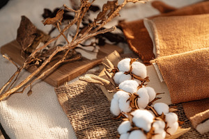 Warm-Toned Cozy Mood Board, a Beauty & Fashion Photo by Virgo Studio