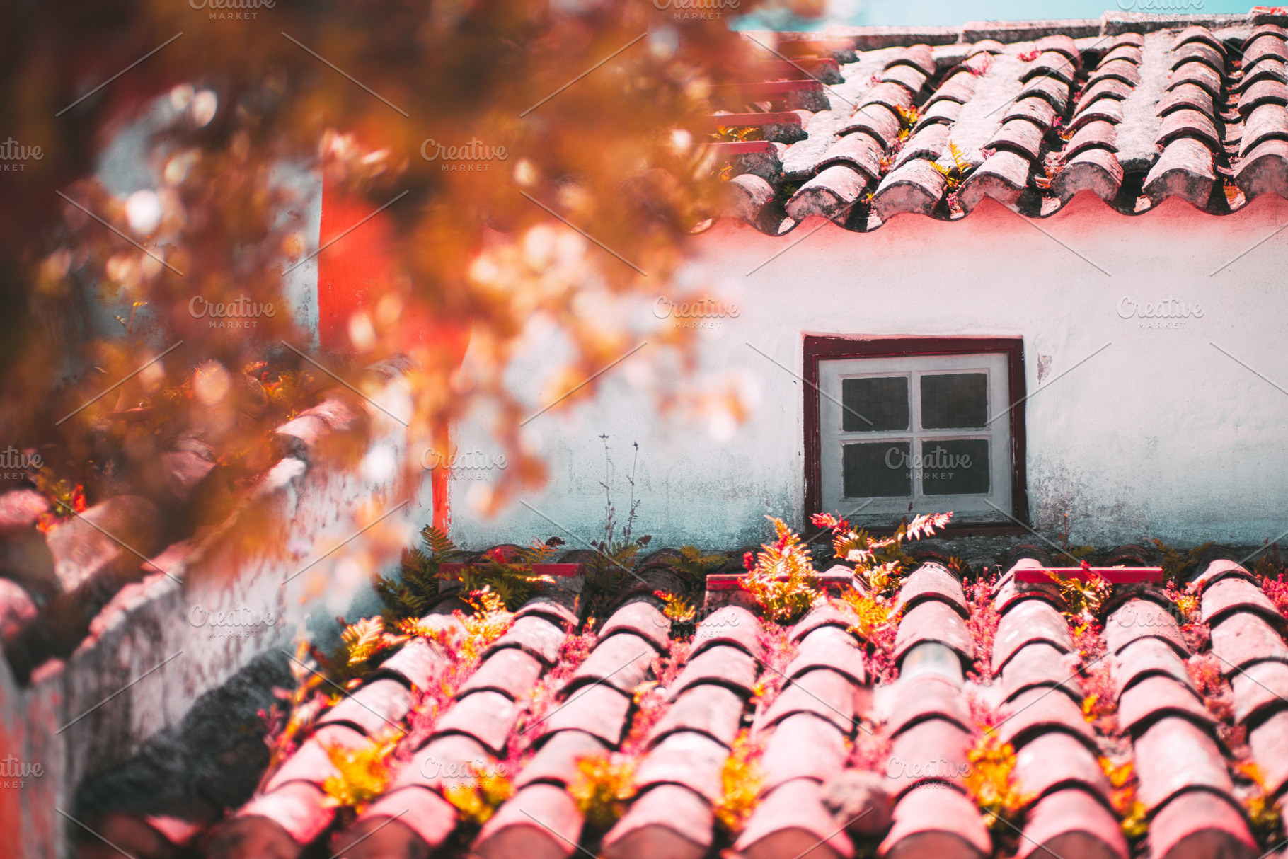 Tiled roof and window with plants, an Architecture Photo by SkyNext