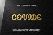 Covide | Elegant Serif & Luxury Disp, a Serif Font by Astuti Studio (Thumbnail 22 of 25)